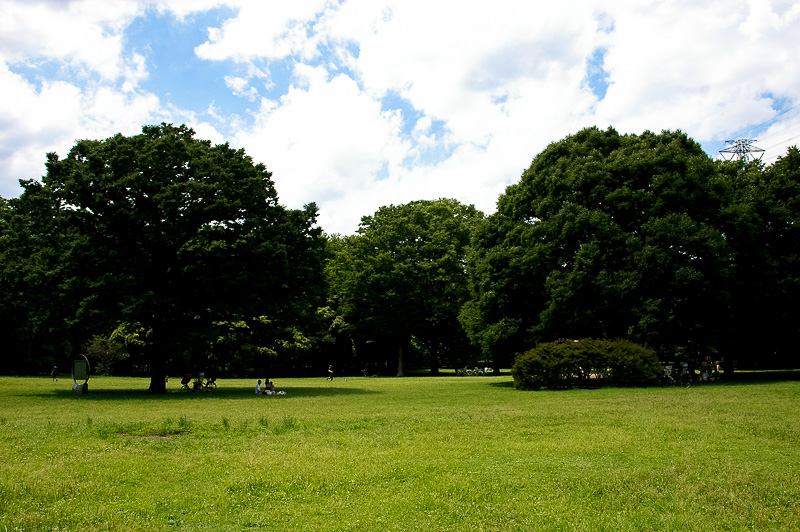 Higashikoganei Park