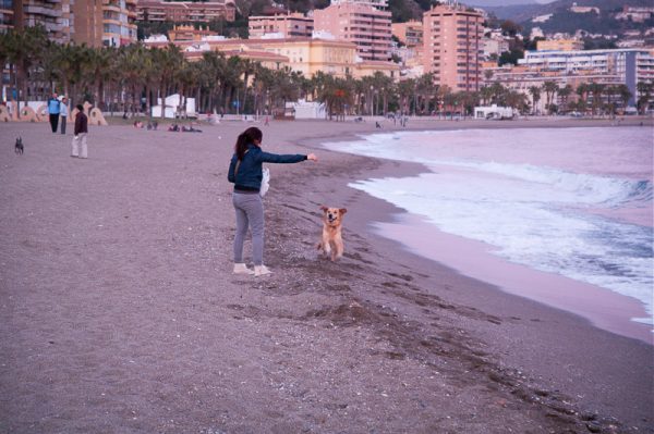 Beach near Maraga canter. run,run, run,Lucky(dog) got  churros!