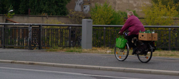 berlindogcycling.jpg